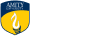 Amity University Online logo